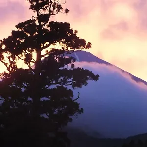 華の宿　ふくや 箱根町